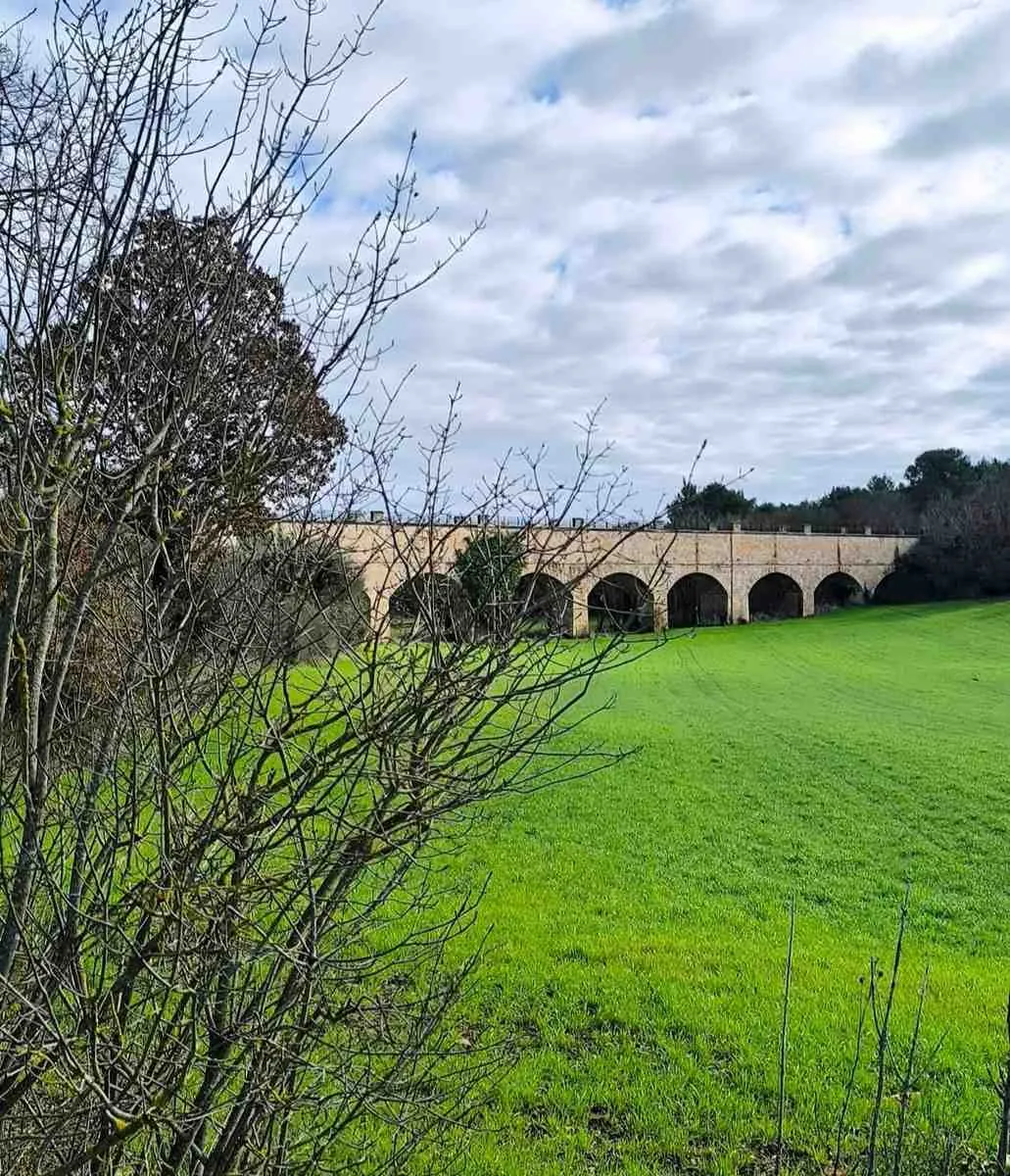 Camminata sulla Ciclovia tra ulivi e ponti