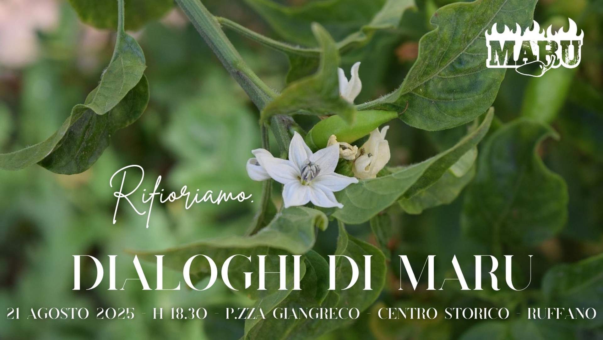 Dialoghidi Maru. Aspettando la XII edizione di Maru Il Peperoncino in festa